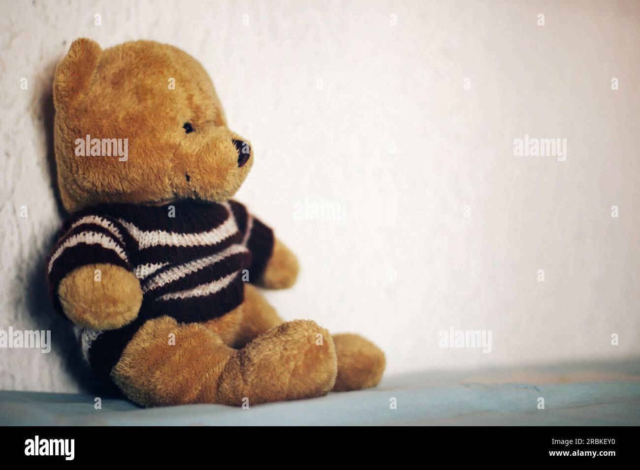 Teddy bear on a white background. Stock Photo