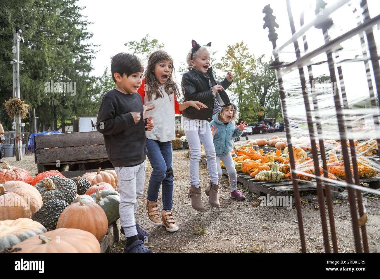 group of young kids surprised by something in pumpkin patch in fall Stock Photo