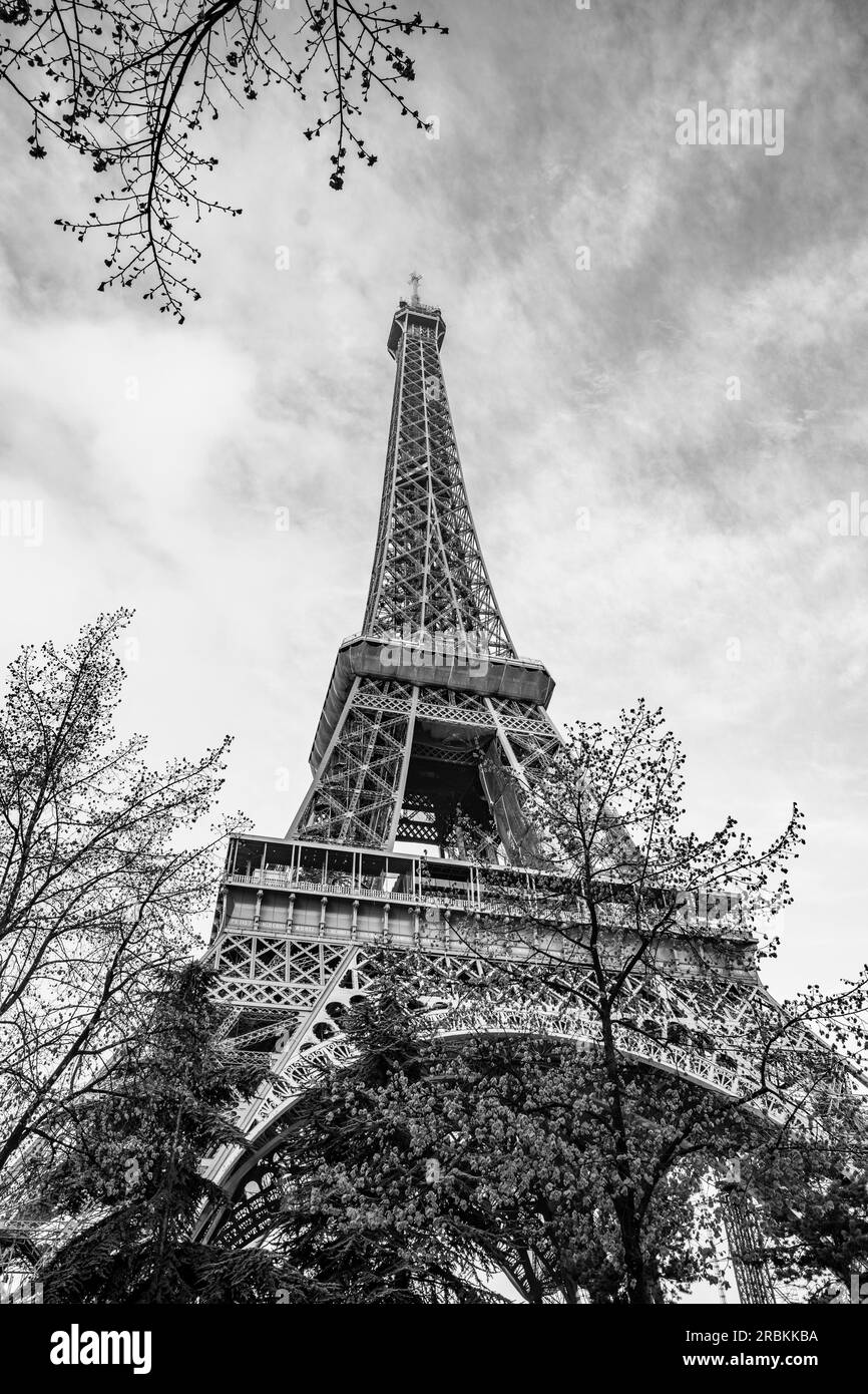 Morning view of Eiffel Tower from bottom. Paris, France. Black and white photography. Stock Photo