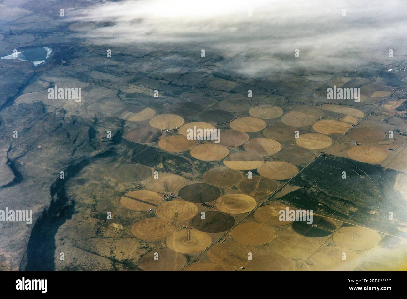 numerous circular irrigated cereal fields in the desert, pivot irrigation systems, aerial photo, USA, Arizona, Sonora-Wueste, Phoenix Stock Photo