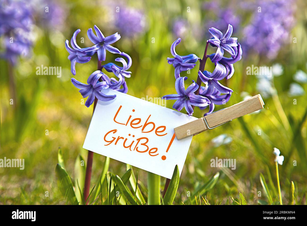 memo sheet at blue hyacinths lettering Liebe Gruesse, best wishes Stock Photo