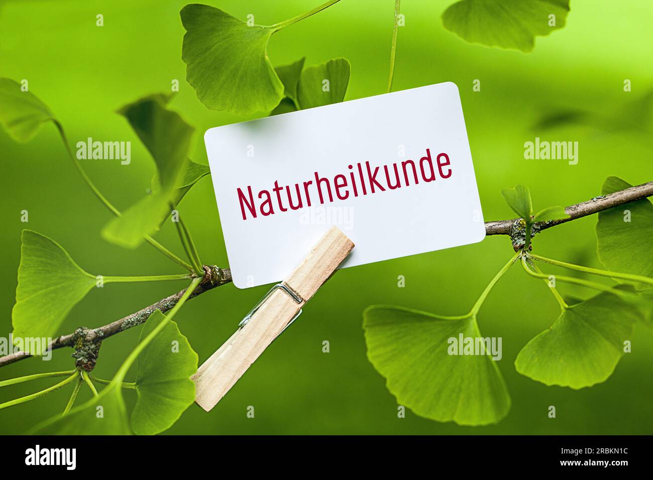 memo sheet at a Ginkgo lettering Naturheilkunde, naturopathy Stock Photo