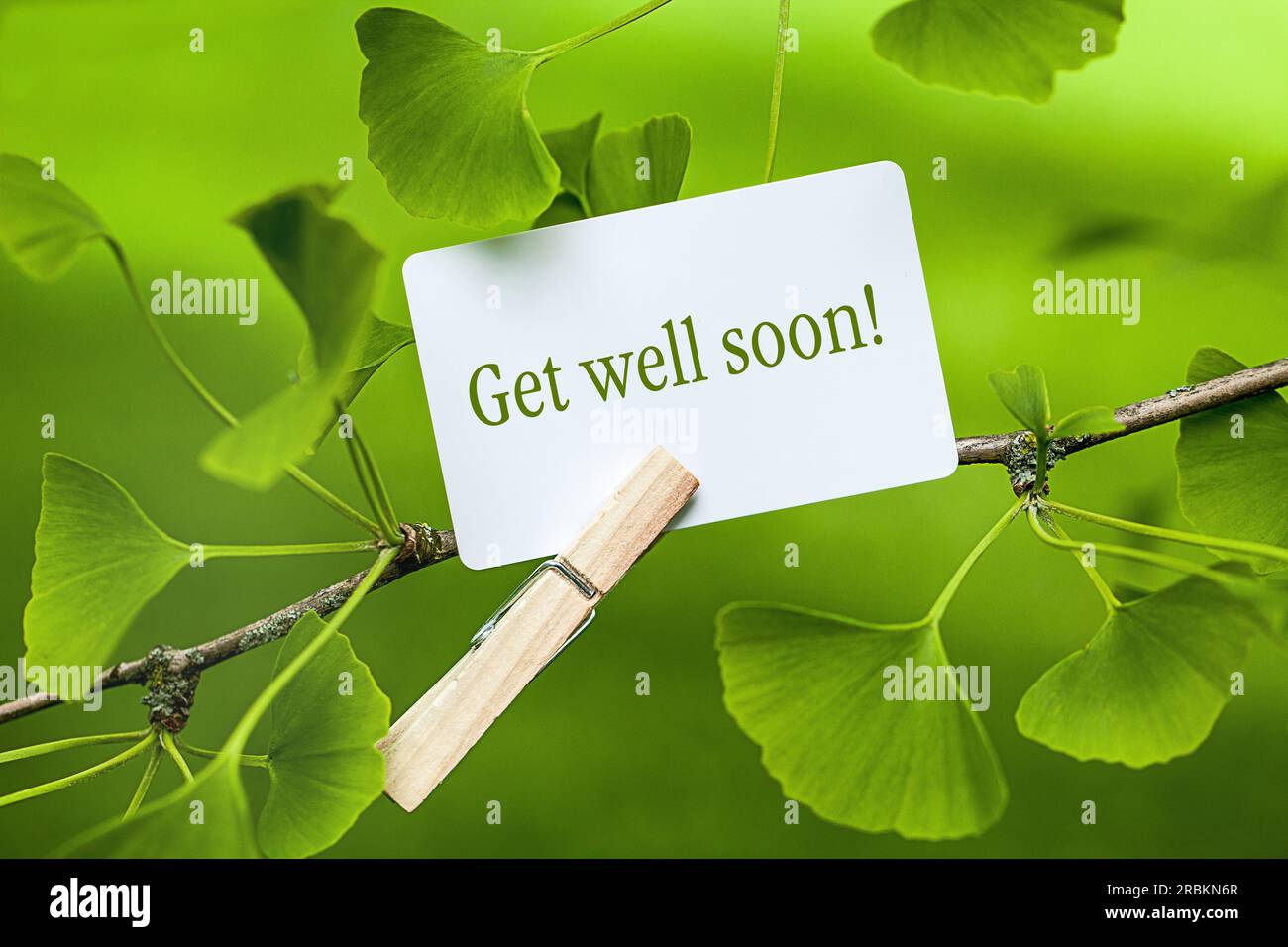 memo sheet at a Ginkgo lettering Get Well Soon Stock Photo