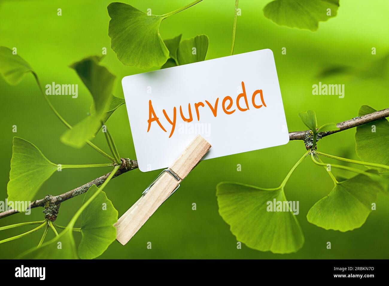 memo sheet at a Ginkgo lettering Ayurveda Stock Photo