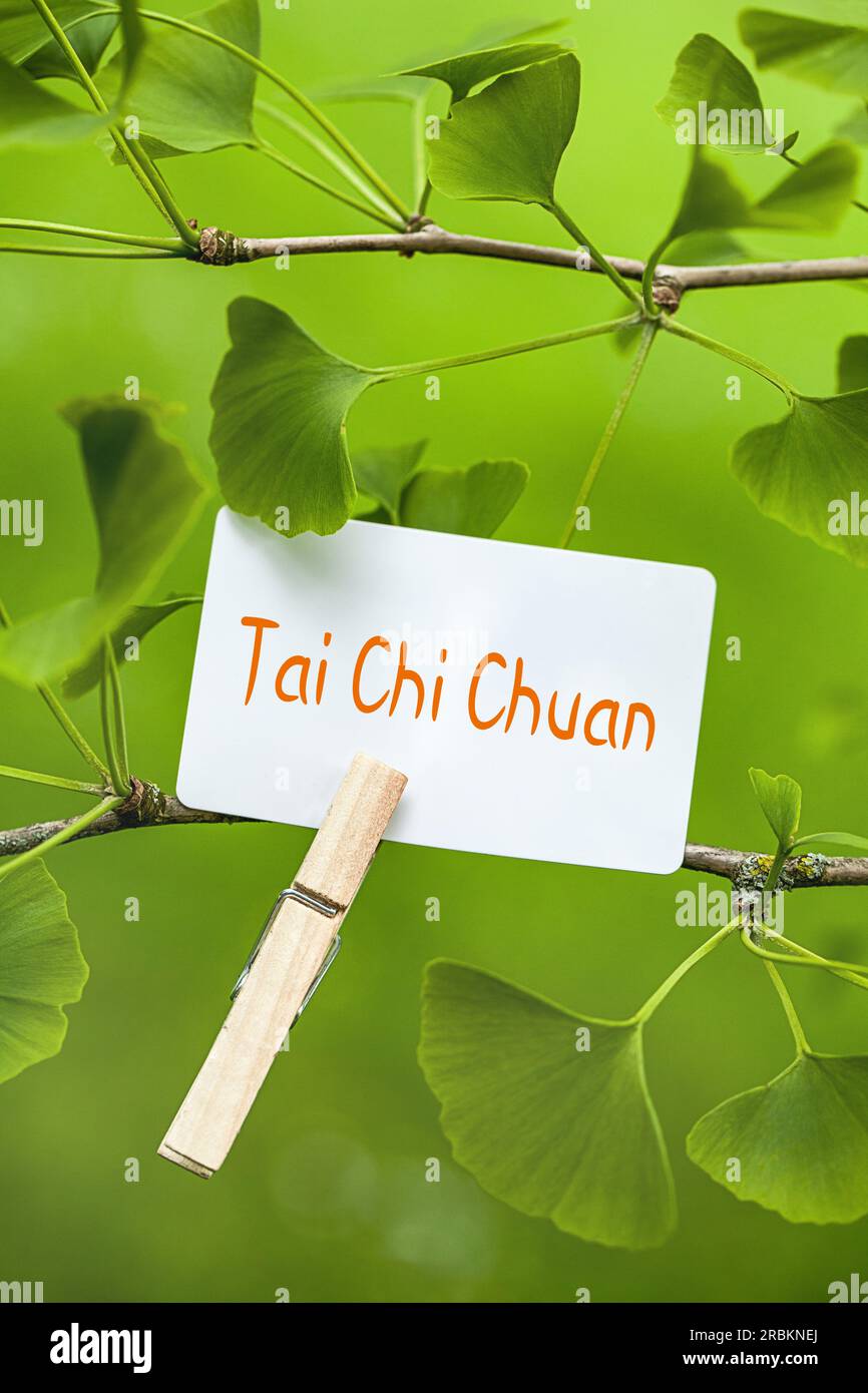 memo sheet at a Ginkgo lettering Taijiquan Stock Photo