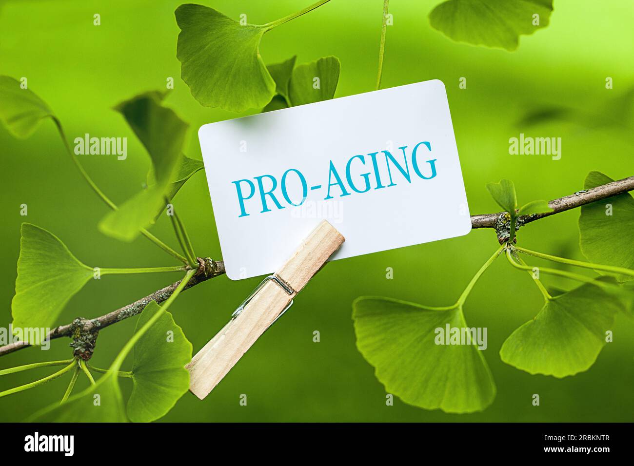 Ageing Lettering memo sheet at a Ginkgo lettering PRO-AGING Stock Photo - Alamy