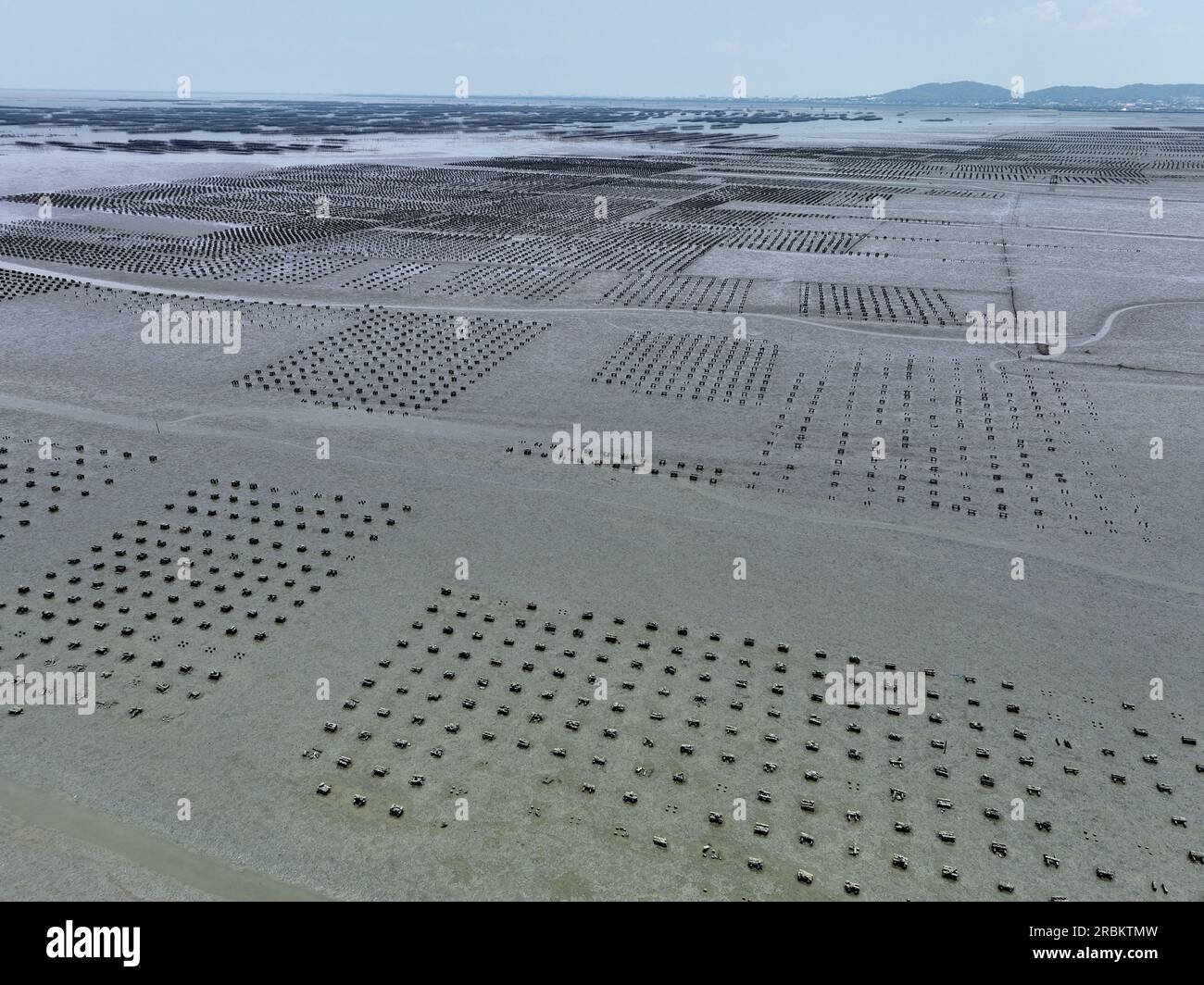 Aerial View Of Oyster Farm. Sustainable Farming. Oyster Farming Is An ...