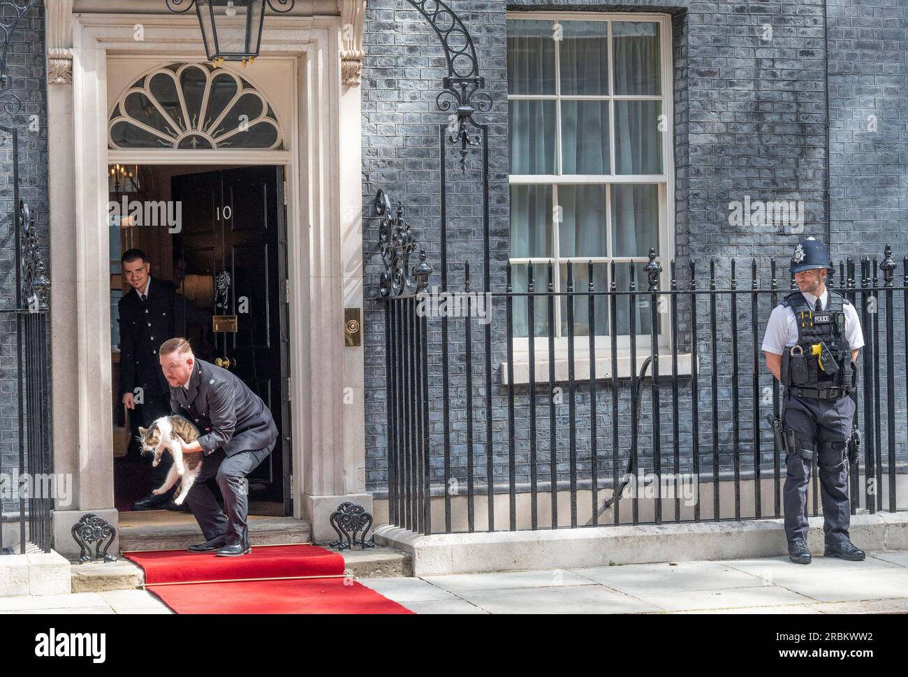 London, UK. 10th July, 2023. US President Joe Biden visits British Prime Minister Rishi Sunak for a 40 minute meeting in 10 Downing Street. Larry the Downing Street Cat is removed from the red carpet shortly before his arrival. Credit: Phil Robinson/Alamy Live News Stock Photo