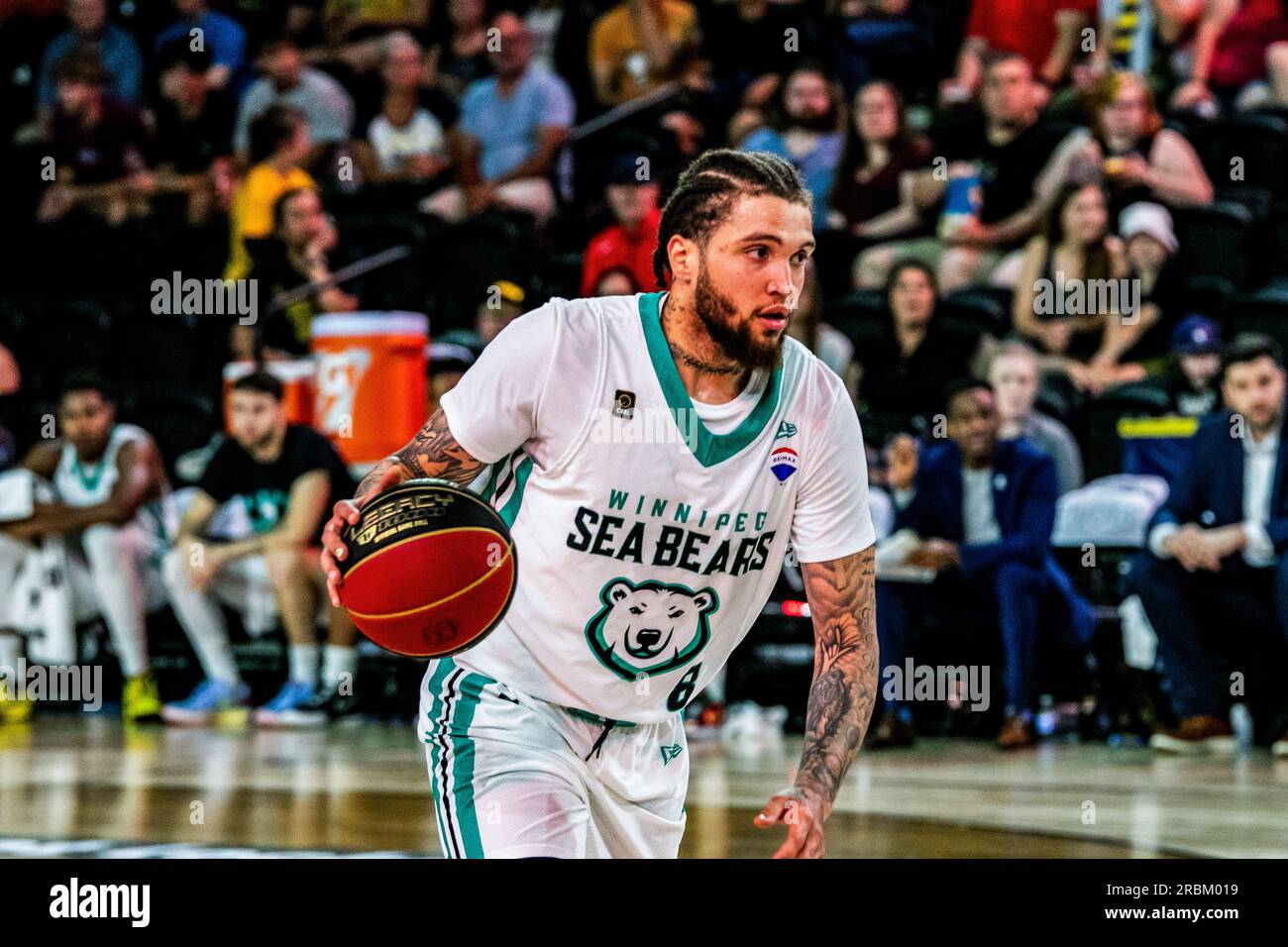 Winnipeg Seabear (8) Teddy Allen (G) moves up the court in 2023 CEBL Season Action against the  Edmonton Stingers. Winnipeg Seabears 99:95 Edmonton Stingers (Photo by Ron Palmer / SOPA Images/Sipa USA) Stock Photo