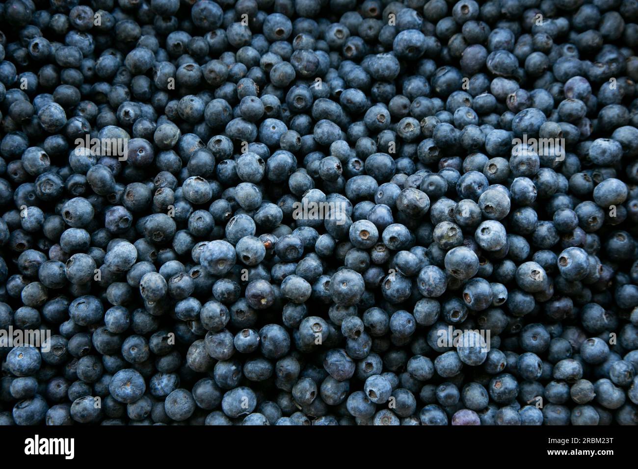 Blueberries at a stall in the central fruit and vegetable market in