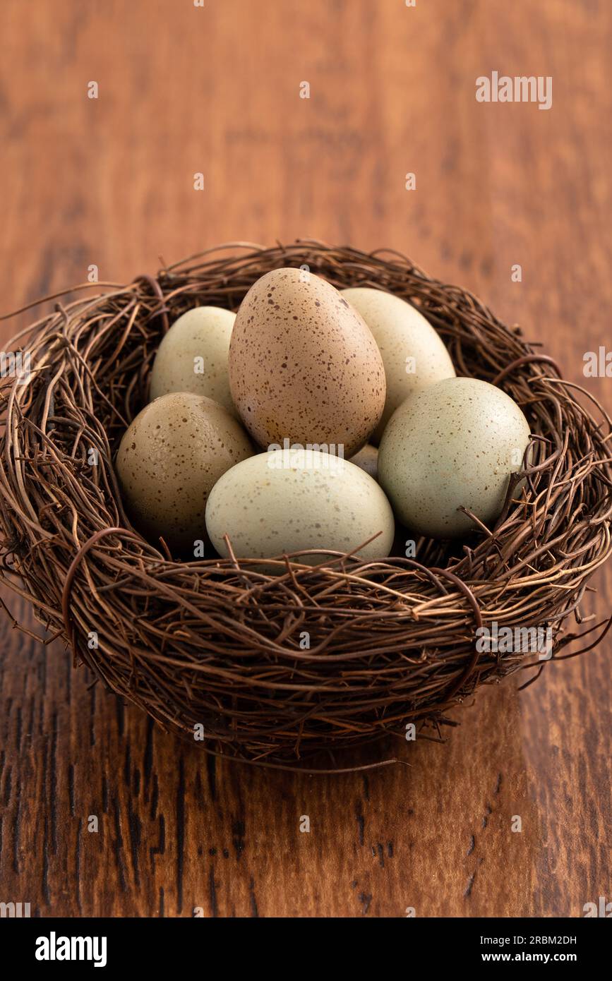 Fresh button quail eggs in a nest on wooden table background. Stock Photo