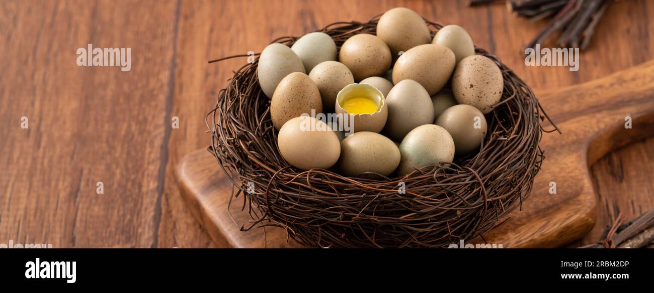Fresh button quail eggs in a nest on wooden table background. Stock Photo