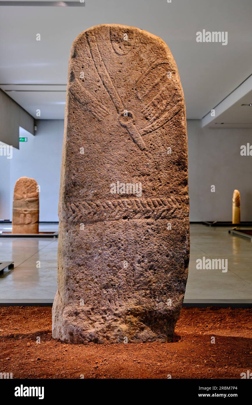 France, Aveyron (12), Rodez, Fenaille Museum, room of the statue