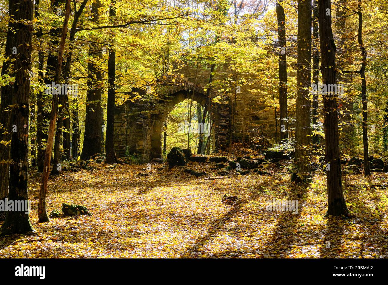 The ruins of Altenburg in the landscape park of Bettenburg near Hofheim i. Ufr, Haßberge Nature Park, Haßberge Nature Park, Lower Franconia, Bavaria, Stock Photo