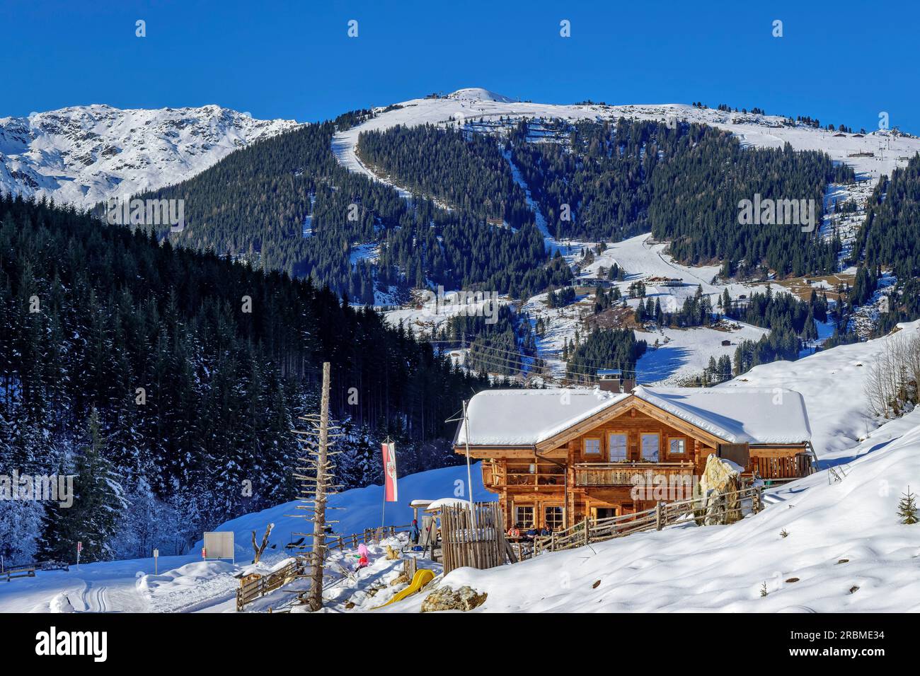 Farmed Jörgleralm, Schwarzachtal, Zillertal Alps, Tyrol, Austria Stock  Photo - Alamy