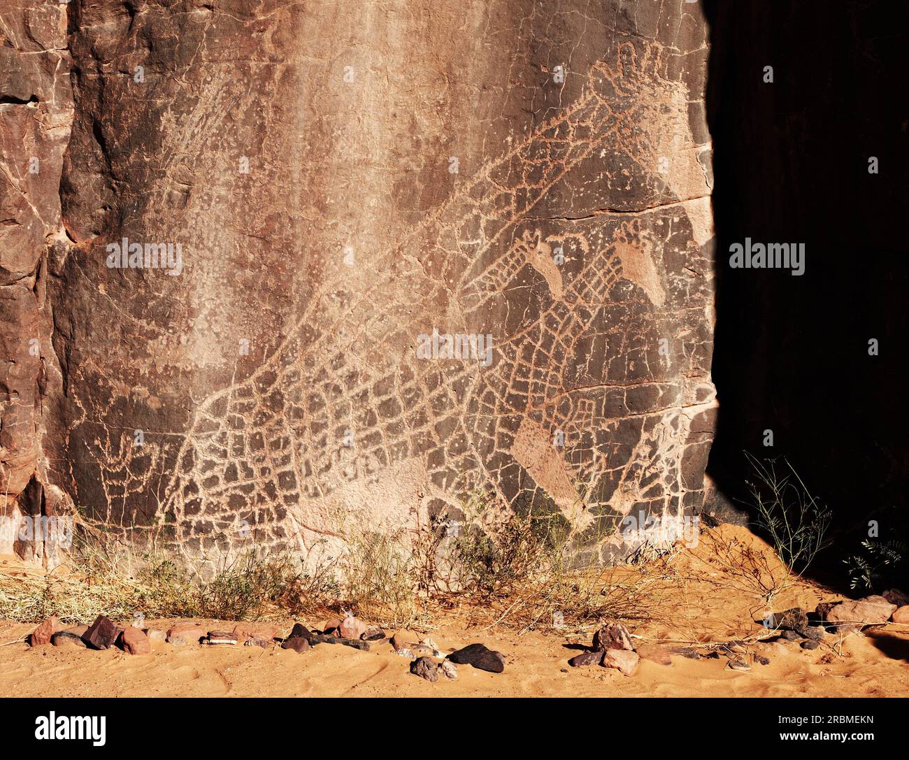 Ancient rock engraving in Sahara Desert, Tadrart, Algeria Stock Photo