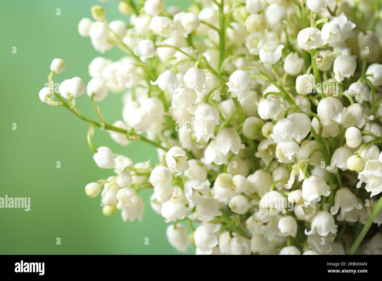 Beautiful lily of the valley flowers on blurred green background ...