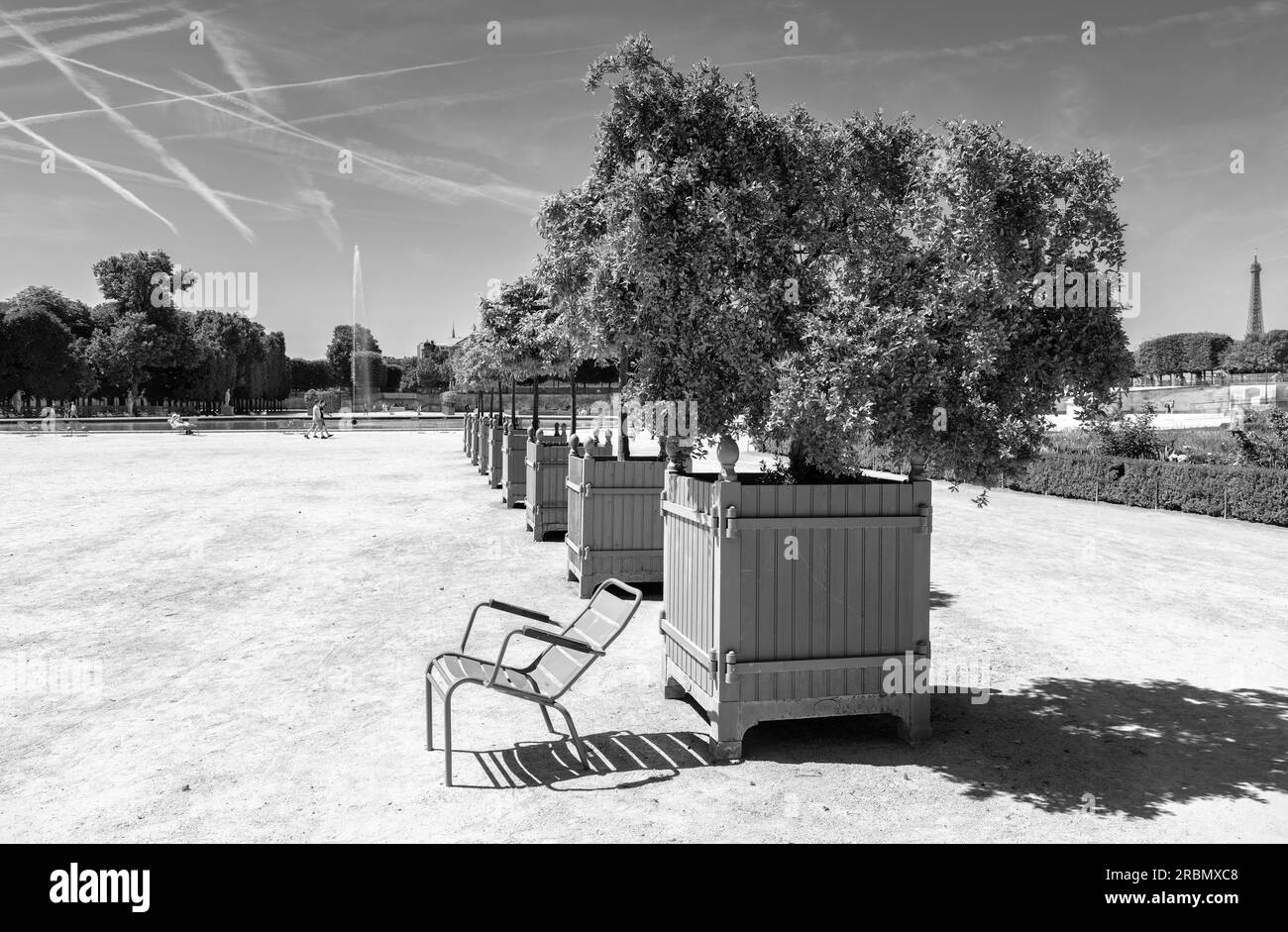 Jardin des Tuileries. Trees and planters in the 17th century, Tuileries Gardens on hot sunny day. 1 Arr. Place de la Concorde, Paris Stock Photo