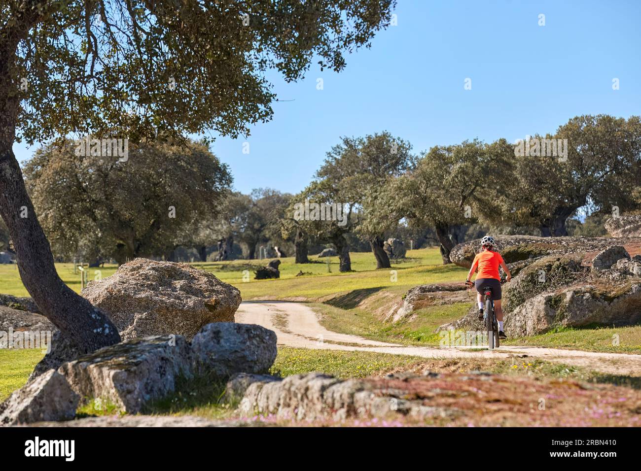 nice senior woman cyling with her electric mountain bike in a stone oak forest of the Extremadura department of Spain Stock Photo
