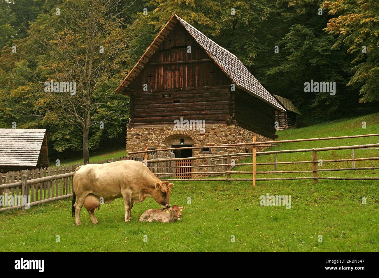 Styria festival hi-res stock photography and images - Alamy