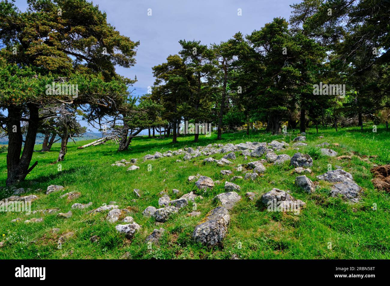 France, Cantal, Allanche, Auvergne Volcanoes Regional Nature Park, Cézallier plateau, burial mound Stock Photo