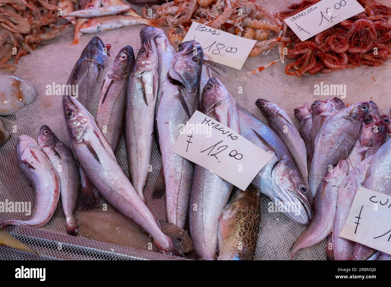 Fresh fish sold at an Italian market with merluzzo (translaFresh fish