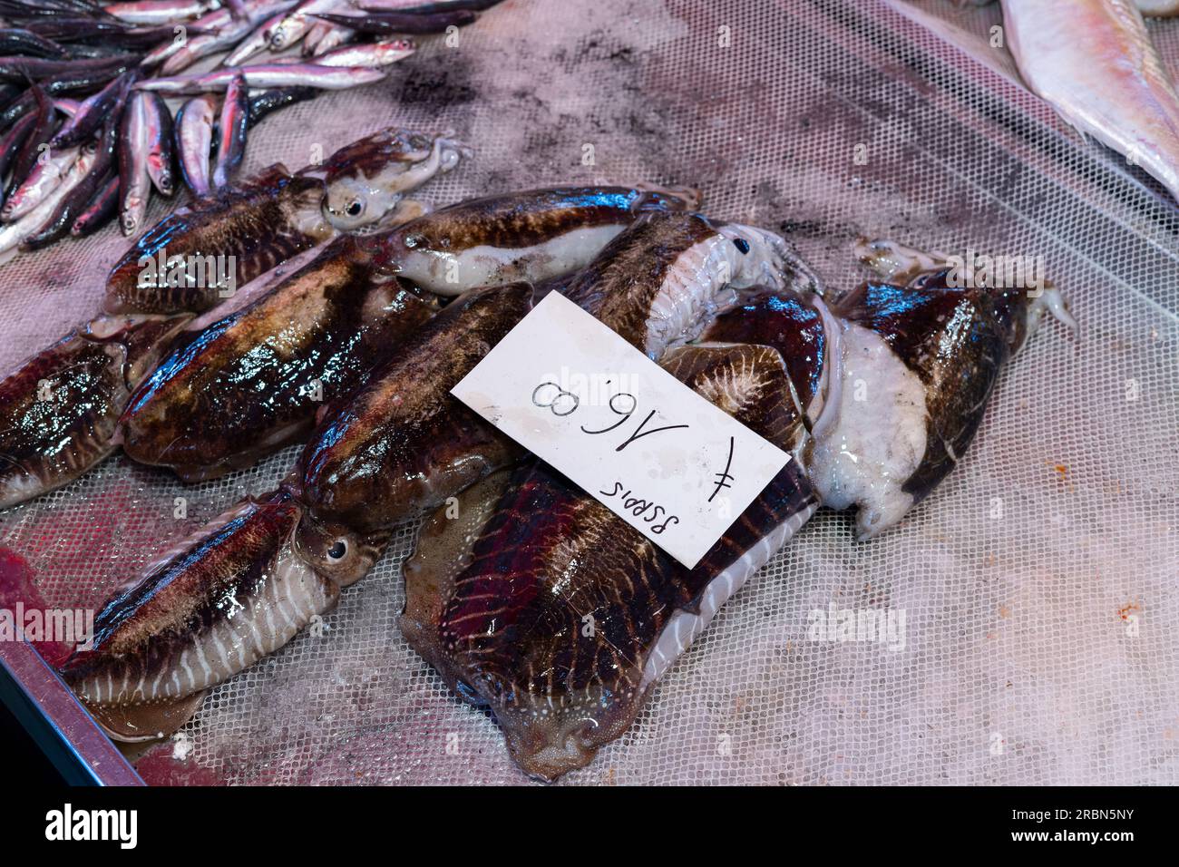 Fresh fish sold at an Italian market with seppie (translation