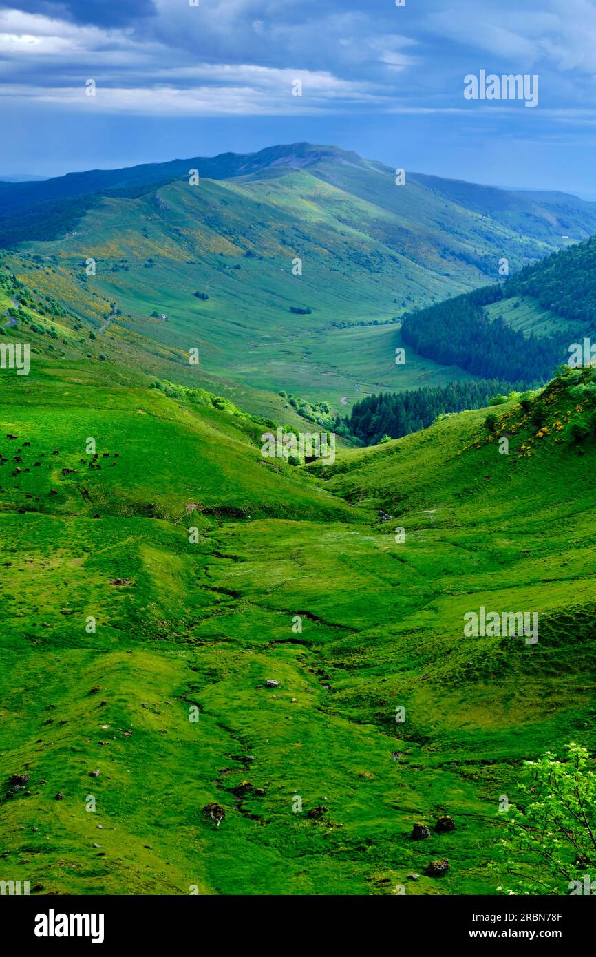 Regional park of auvergne volcano hi-res stock photography and images ...