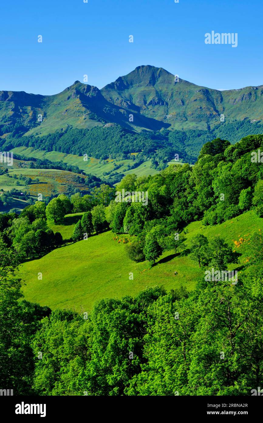 France, Cantal, regional natural park of the Volcanoes of Auvergne ...