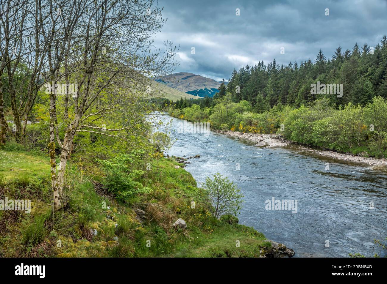 River Orchy looking towards Beinn Udlaidh (840m), Bridge of Orchy, Argyll and Bute, Scotland, UK Stock Photo