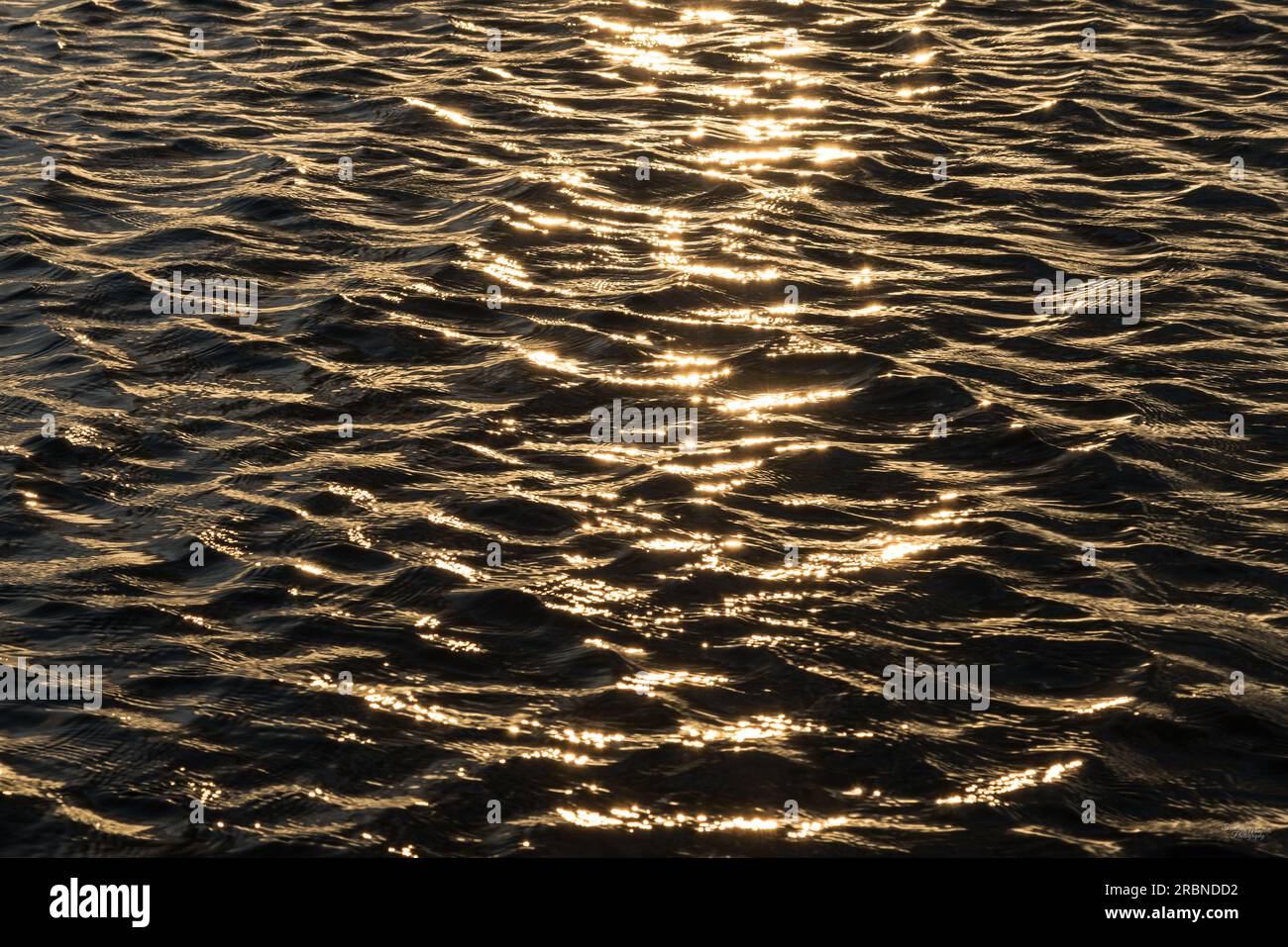 The sunset reflects it's golden light over waves of lake water during a summer evening. This was taken in Branson Missouri, United Stated at Table Roc Stock Photo
