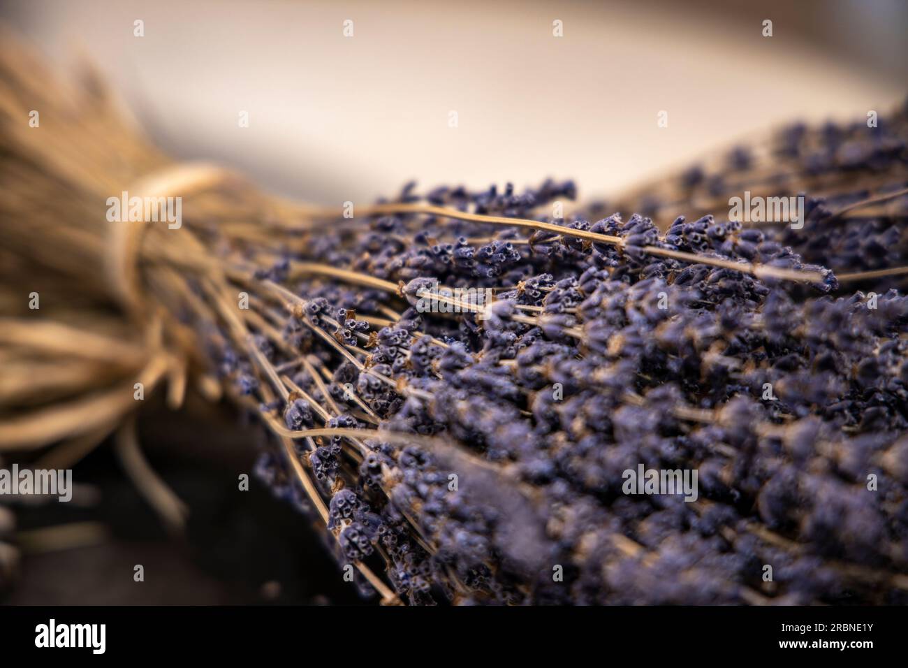 Dried lavender at L'Occitane en Provence visitor center and factory, Manosque, Alpes-de-Haute-Provence, France, Europe Stock Photo