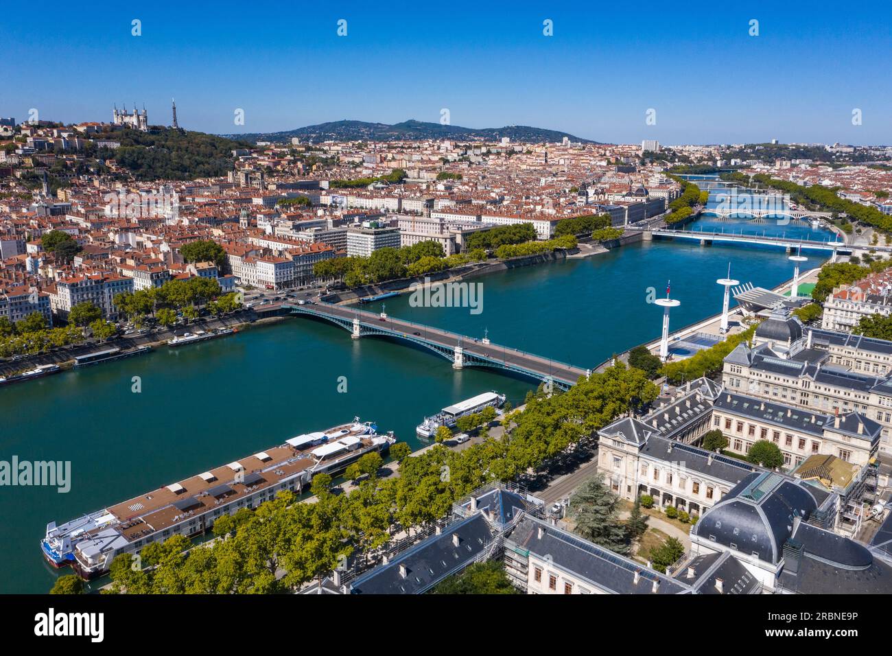 The Strategic Appeal of Lyon's 7th Arrondissement