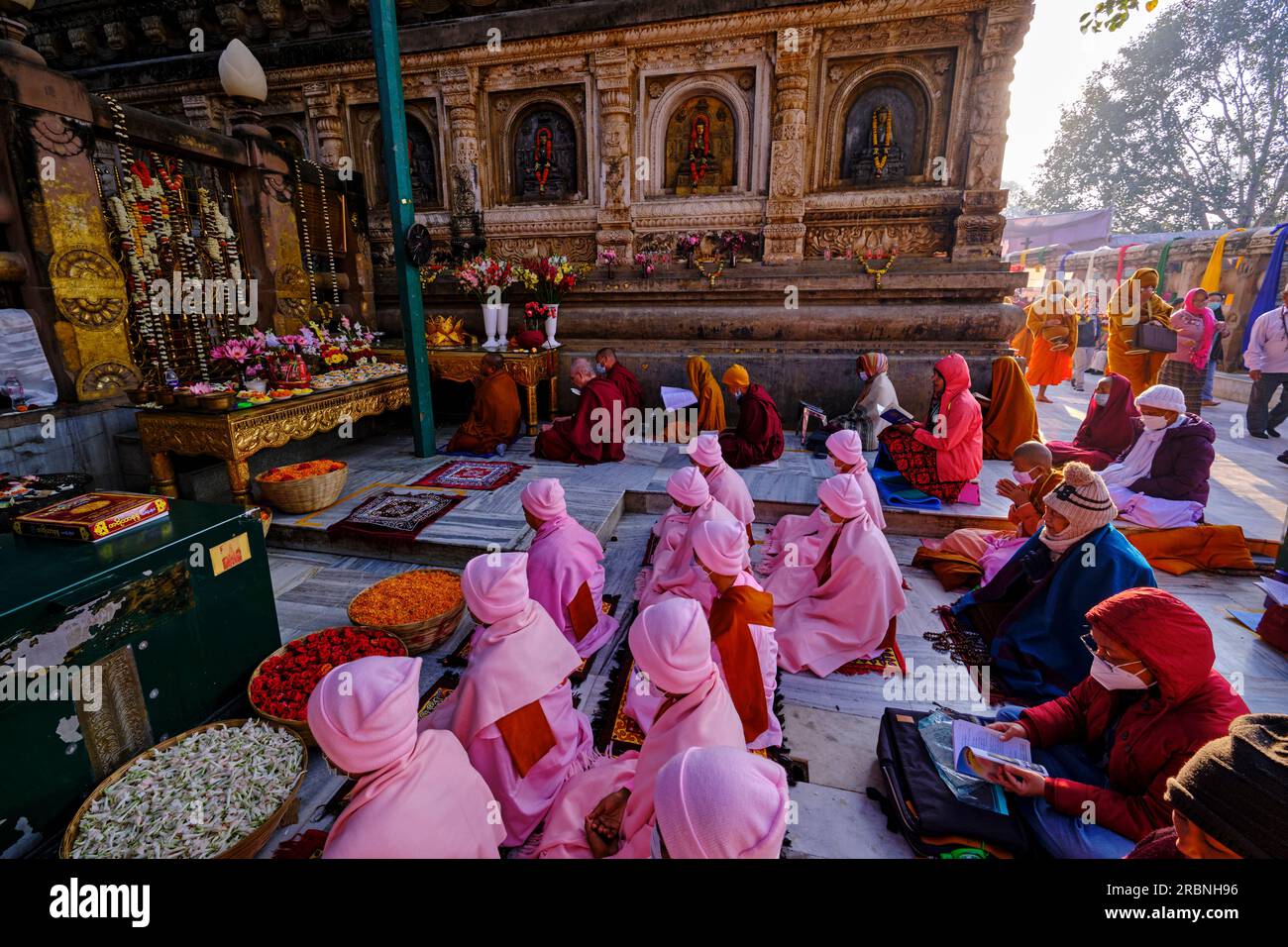 India, Bihar, Bodhgaya, Unesco World Heriatge, the Mahabodhi Temple, buddhist burmese nuns praying in front of the Bodhi tree under which the Buddha a Stock Photo