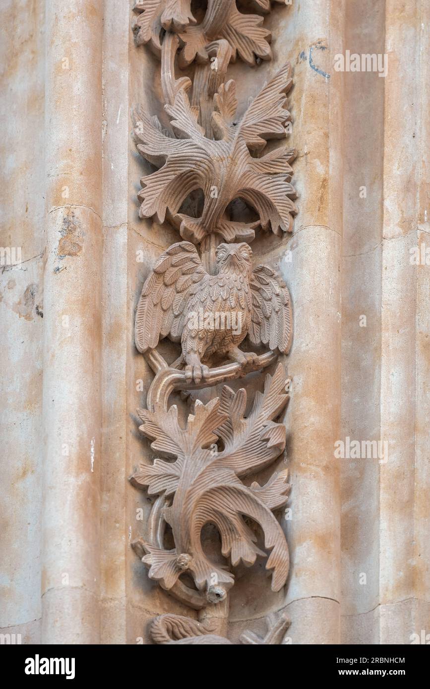 Bird Carving at Salamanca Cathedral Facade - Salamanca, Spain Stock Photo