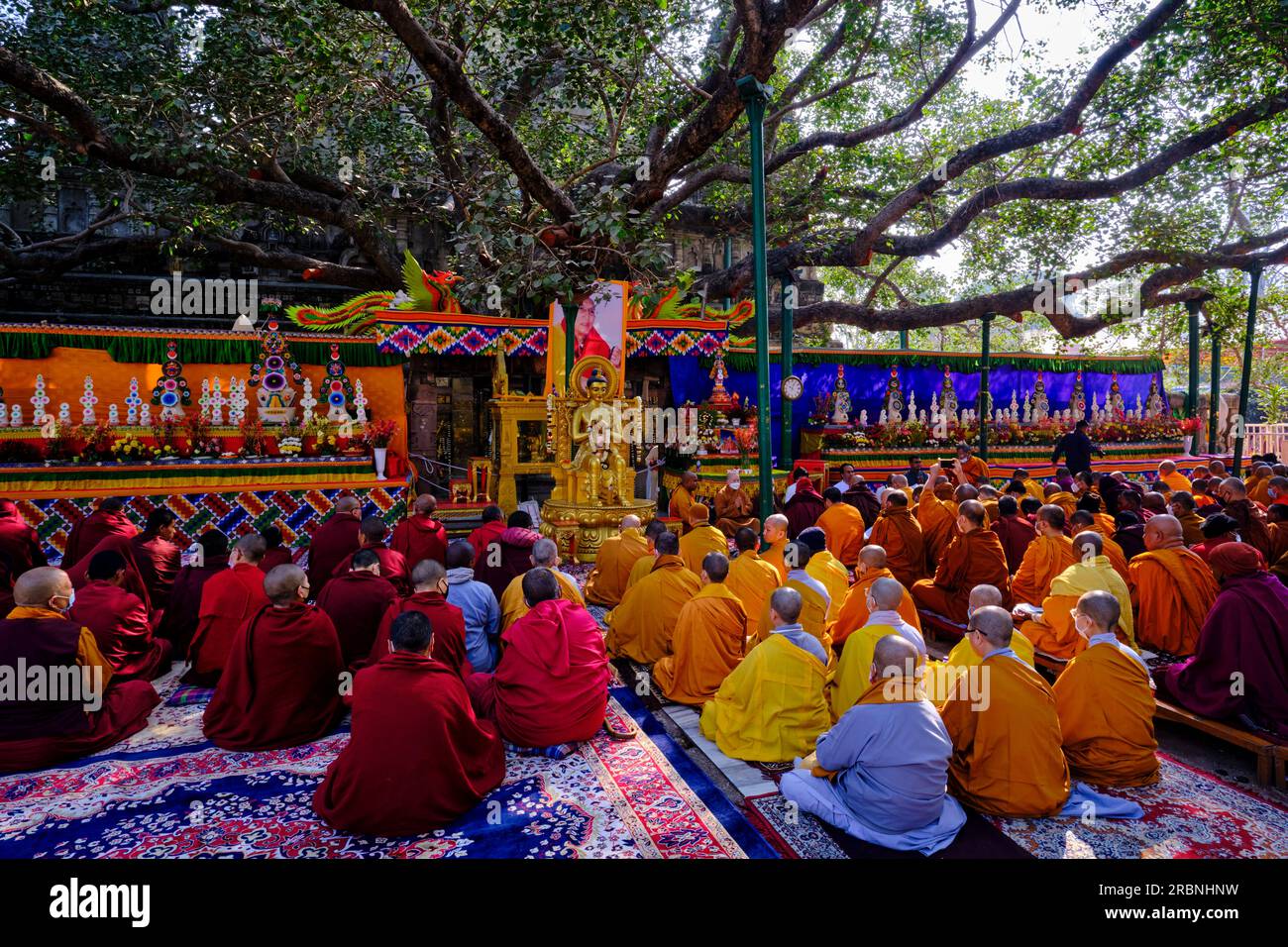 India, Bihar, Bodhgaya, Unesco World Heriatge, the Mahabodhi Temple, buddhist monks praying in front of the Bodhi tree under which the Buddha attained Stock Photo