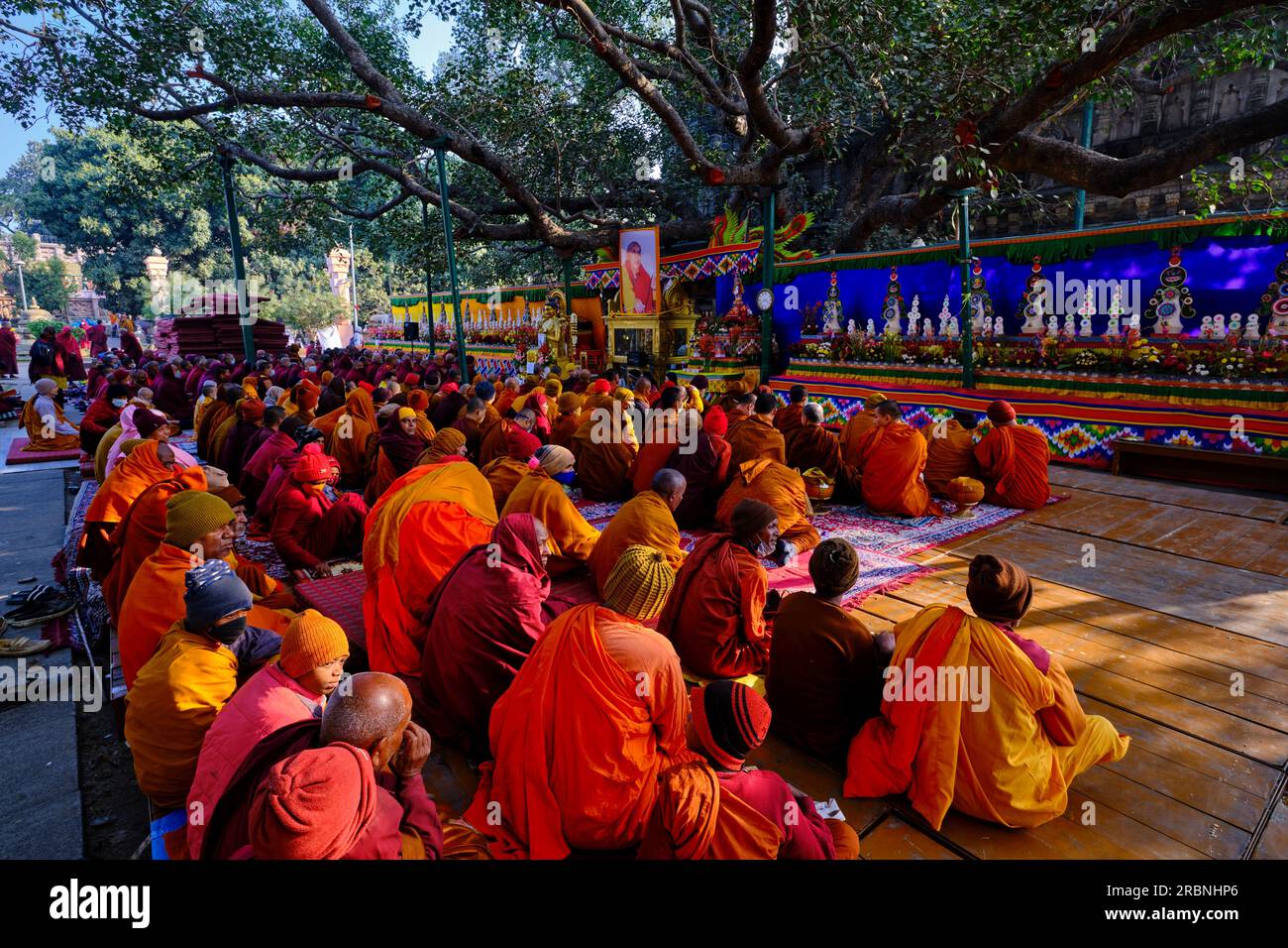 India, Bihar, Bodhgaya, Unesco World Heriatge, the Mahabodhi Temple, buddhist monks praying in front of the Bodhi tree under which the Buddha attained Stock Photo