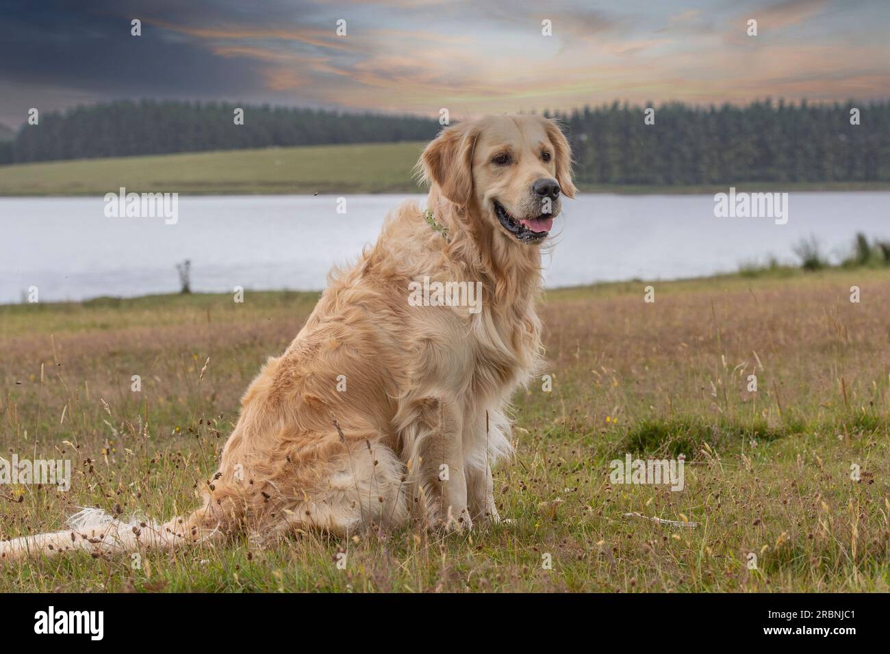 sitting in front of a country scene with. a lake Stock Photo