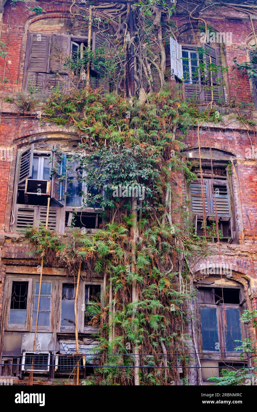 India, West Bengal, Kolkata, Calcutta, colonial architecture Stock Photo