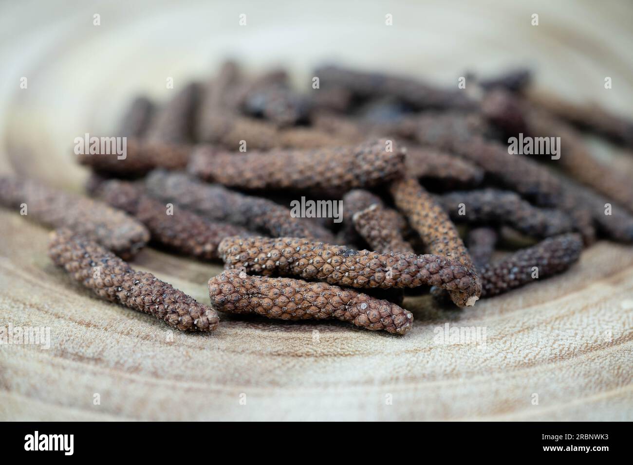 long red Kampot pepper piper nigrum from Cambodia Stock Photo Alamy