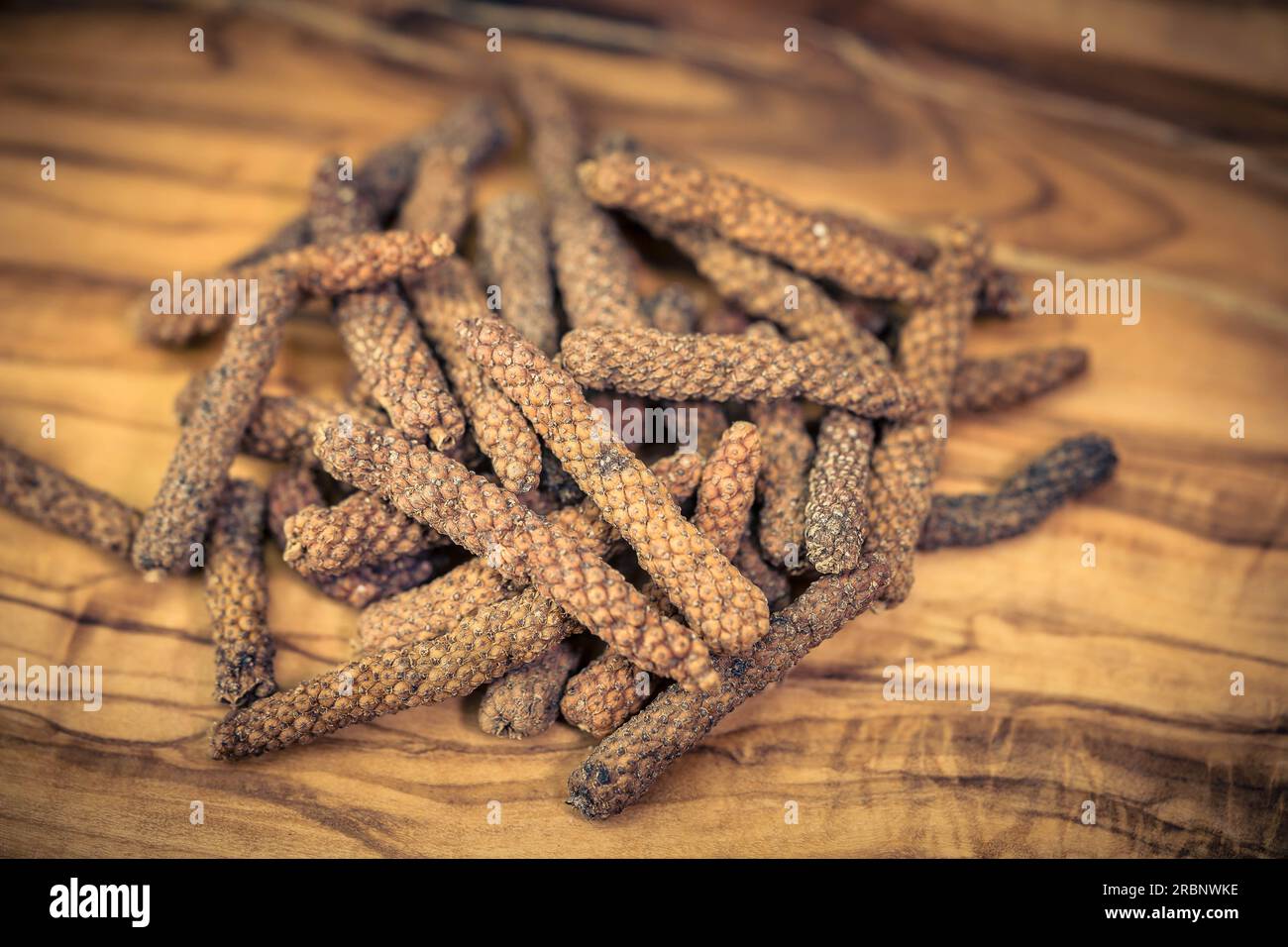 long red Kampot pepper piper nigrum from Cambodia Stock Photo Alamy