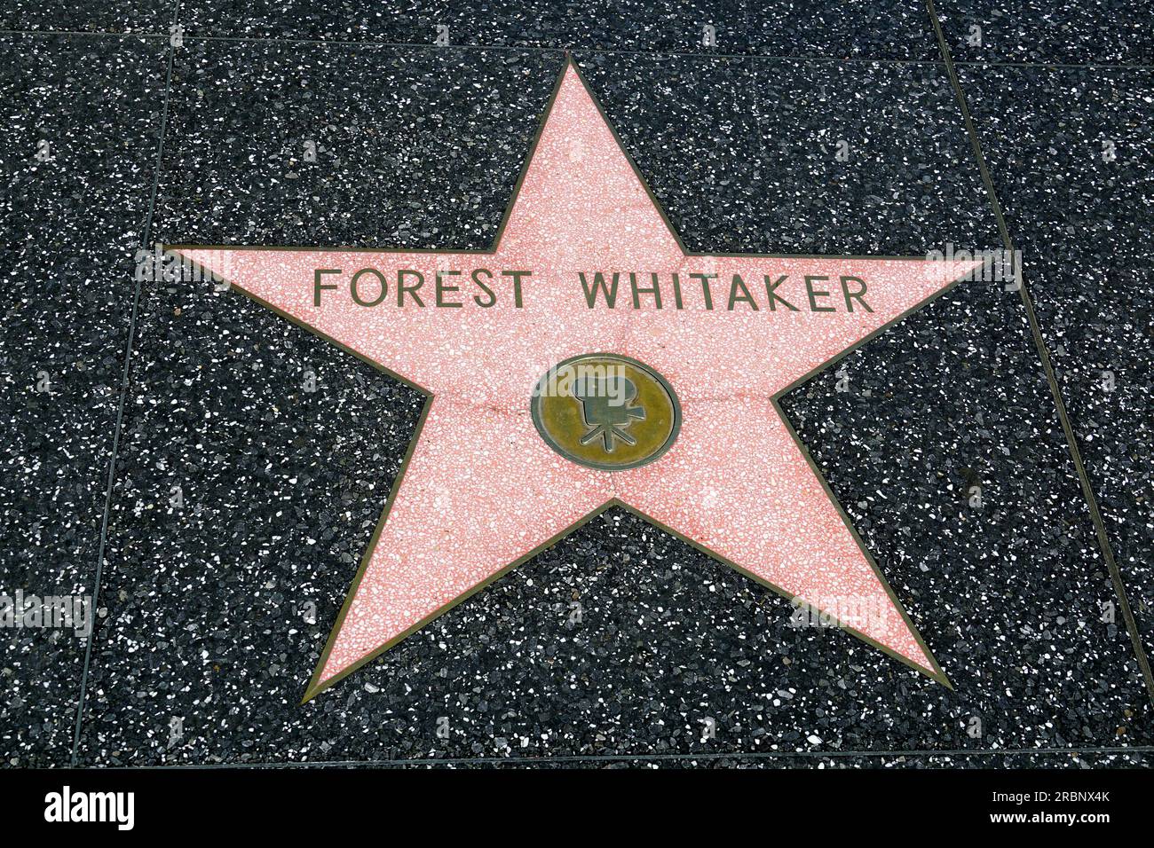 Forest Whitaker's star, Hollywood Walk of Fame, Hollywood Boulevard