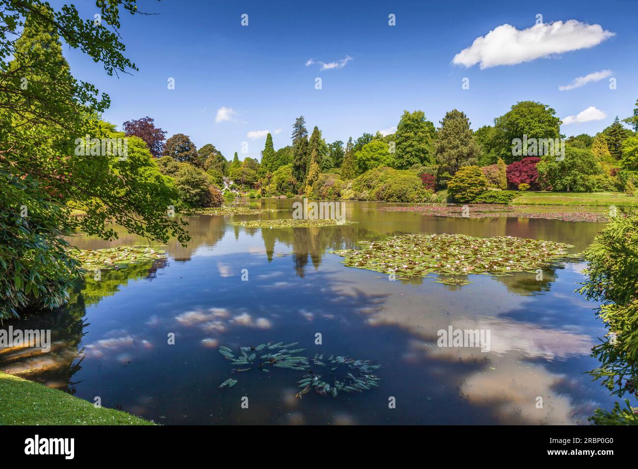 Sheffield Park Garden, East Sussex, England Stock Photo Alamy