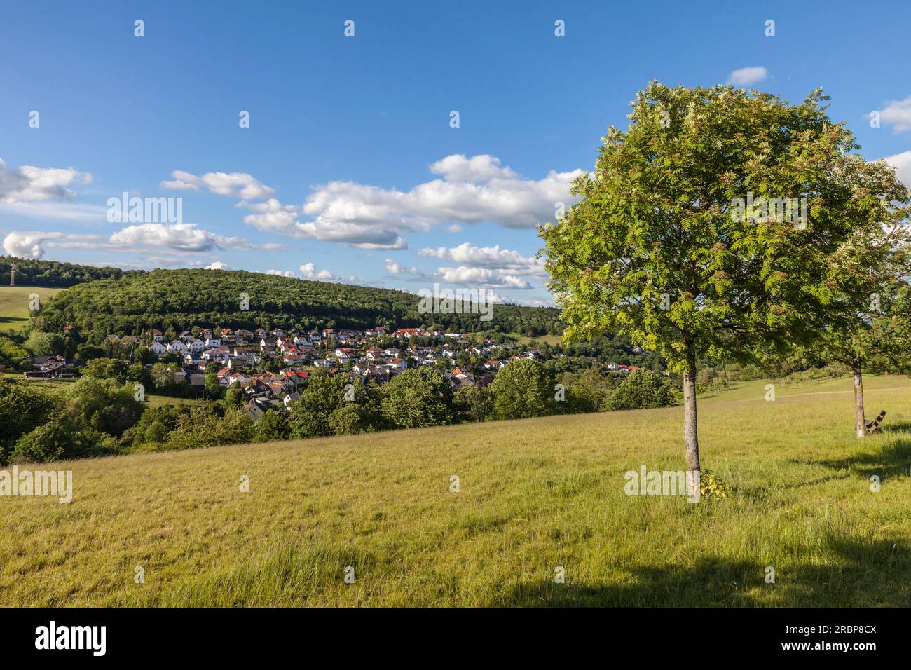 View of Engenhahn in the Taunus, Niedernhausen, Hesse, Germany Stock Photo