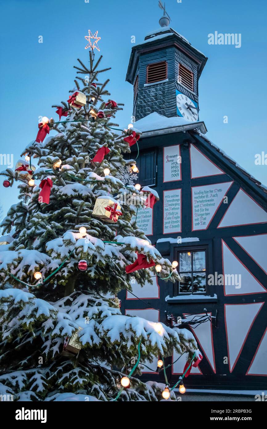 Old town hall of Engenhahn with Christmas tree, Niedernhausen, Hesse