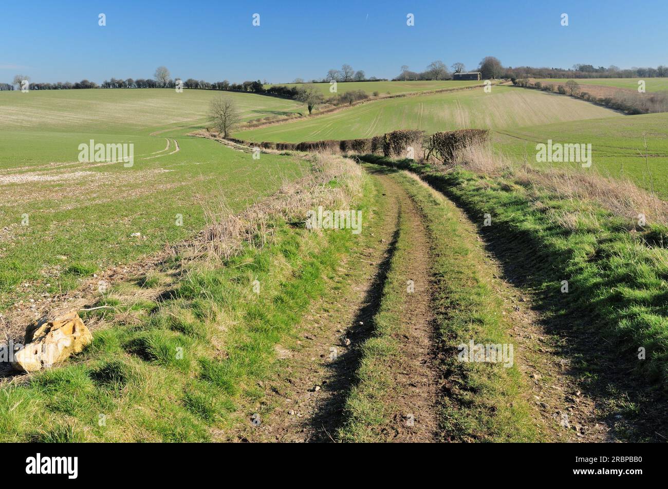 A rutted byway on the Lambourn Downs near Upper Upham, Wiltshire. Stock Photo