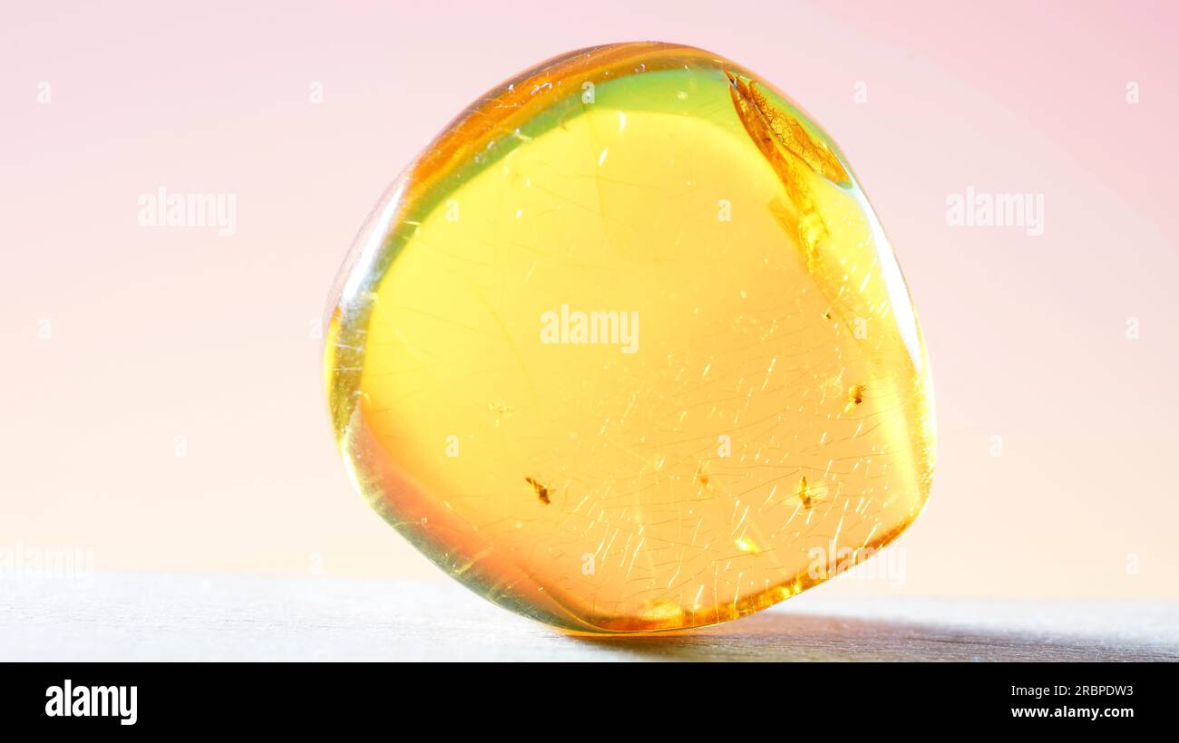 Amber is made of yellow transparent fossil resin with insect inclusions
