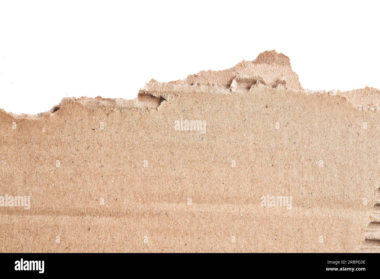 One ripped piece of cardboard material over isolated white background ...