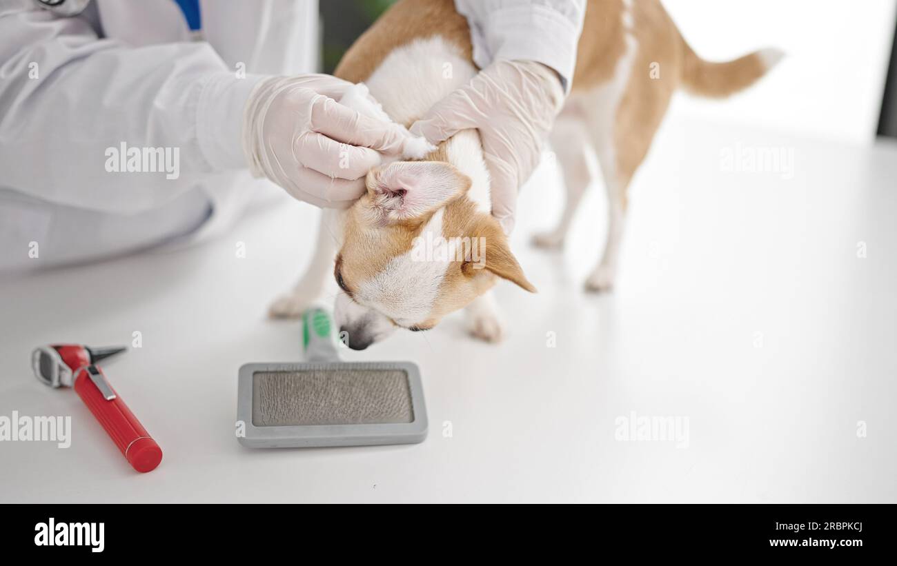 Tea Tree Oil for Dogs Ears: Kiss Goodbye to Itchy Ears - Cleaning Dog Ears With Tea Tree Oil And Vinegar