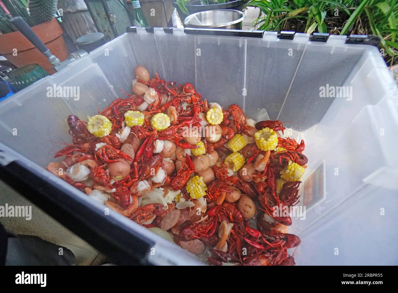Crayfish and Shrimp Boil Stock Photo Alamy